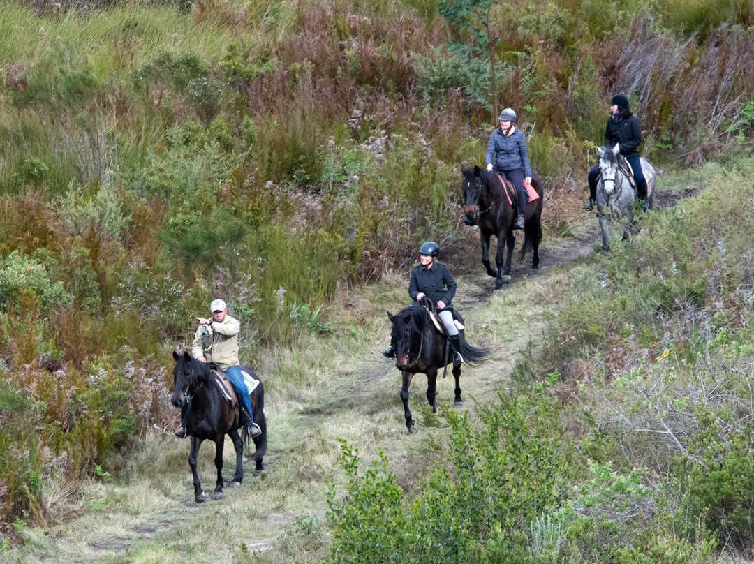 Heidelberg酒店住宿-Oudebosch Mountain Lodge