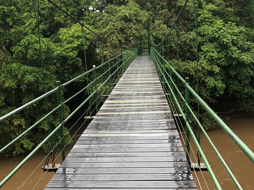 La Selva Biological Station主图