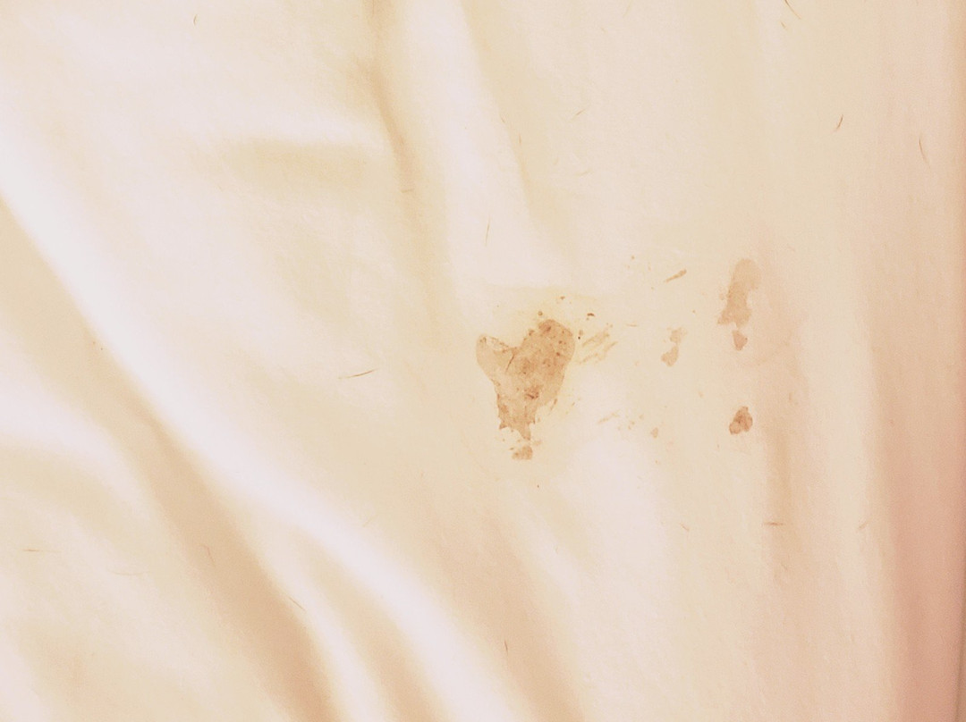 Quincy Inn & Suites主图