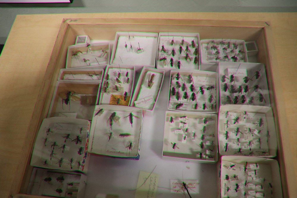 Montana Natural History Center-米苏拉必去景点