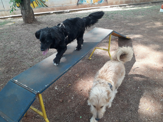 Pet Parque-Osasco必去景点