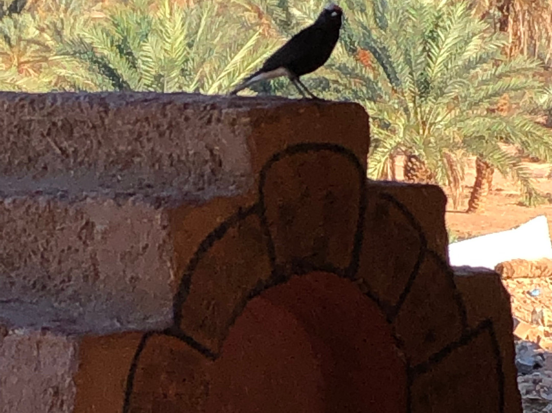 Maggaman Guest House主图