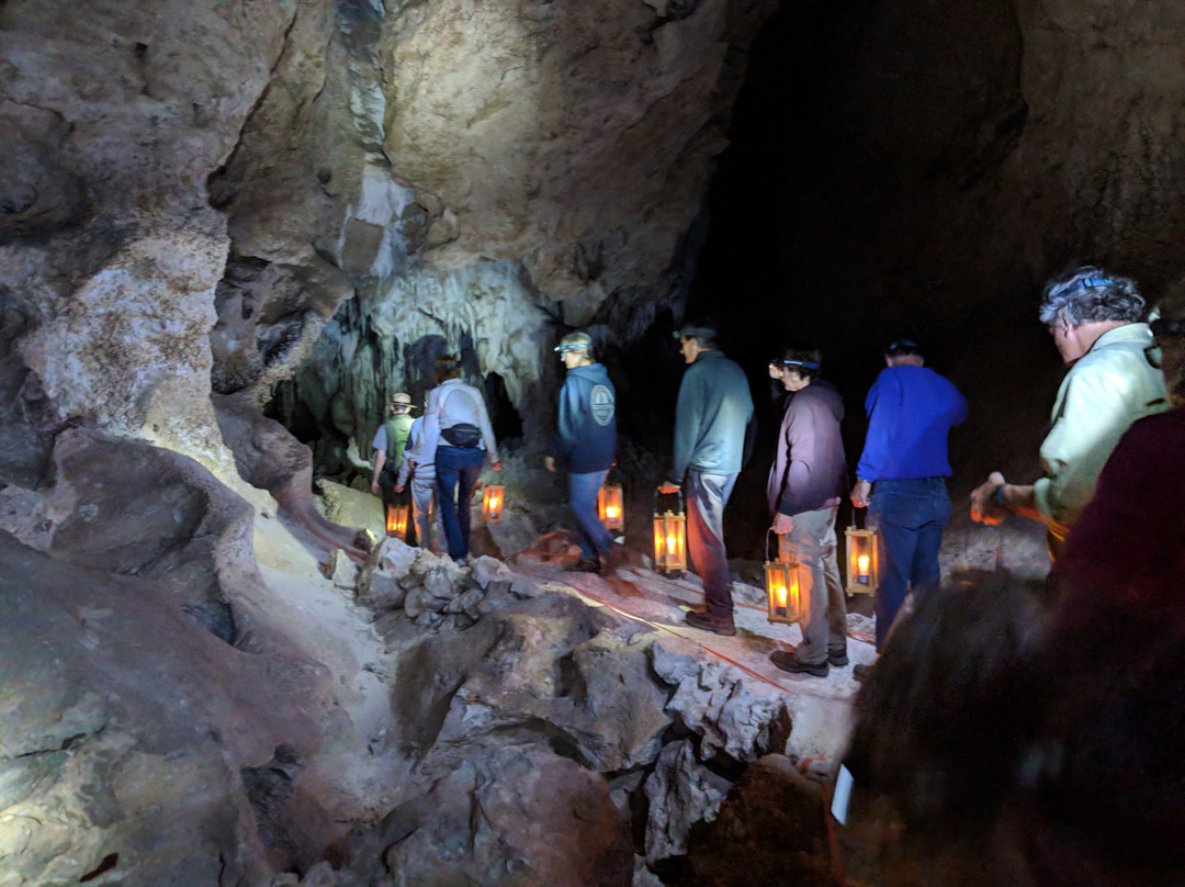 Bat Flight Program in Carlsbad Caverns National Park-卡尔斯巴德洞穴国家公园必去景点