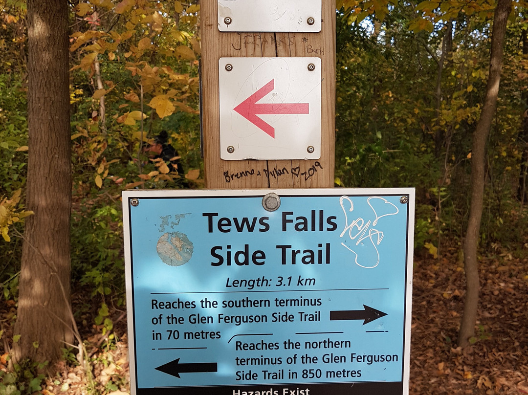 Tews Falls-邓达斯必去景点