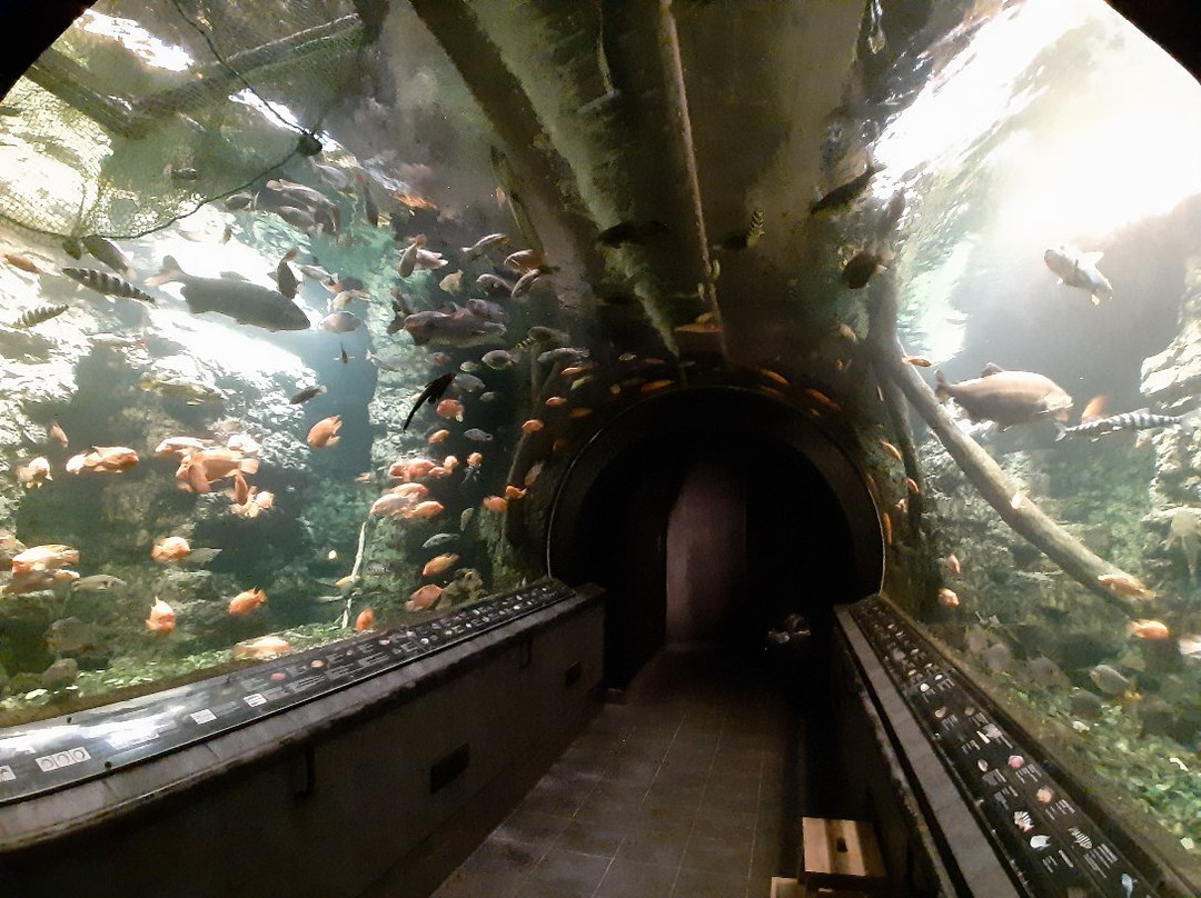 Aquarium Hradec Králové-赫拉德茨克拉洛韦必去景点