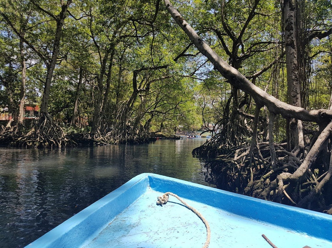Gri Gri Lagoon-Rio San Juan必去景点