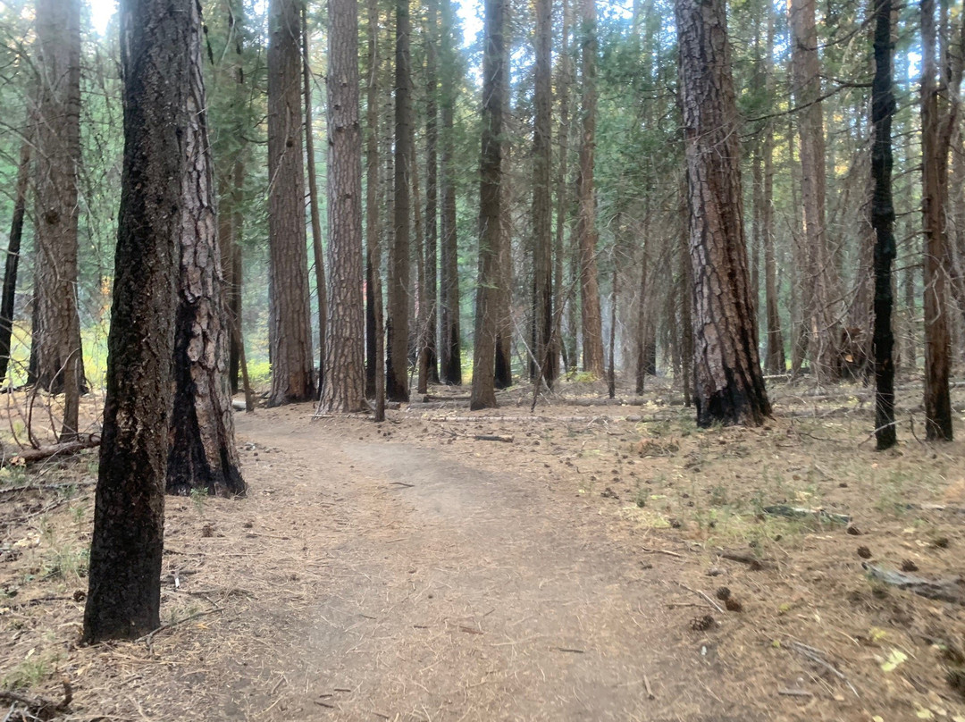 Carlon Falls Trail-格罗夫兰必去景点