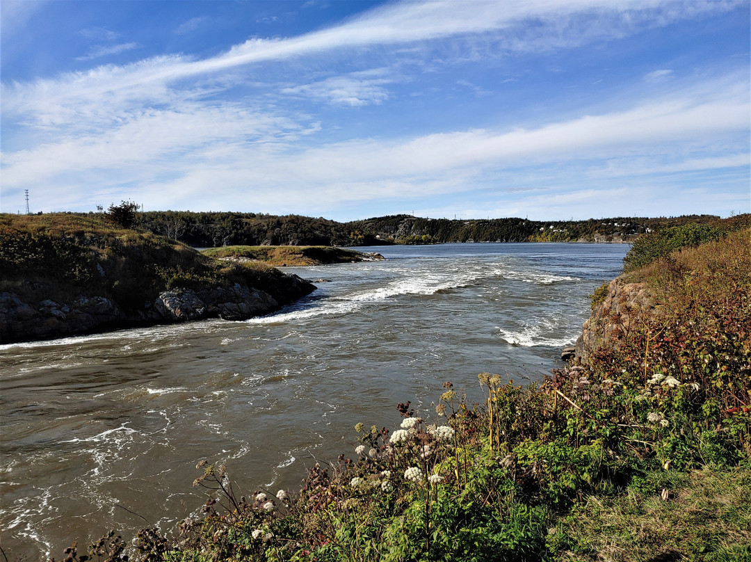 Fallsview Park-圣约翰必去景点