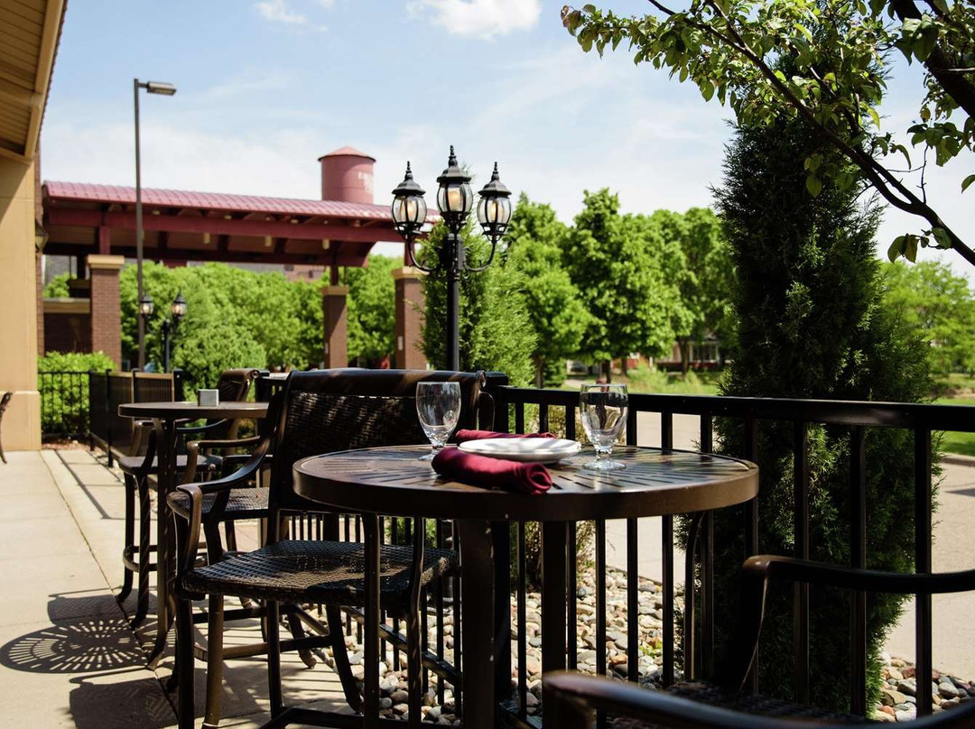 Embassy Suites by Hilton Minneapolis North主图