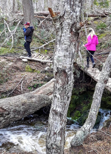Tierra del Fuego Aventura-乌斯怀亚必去景点