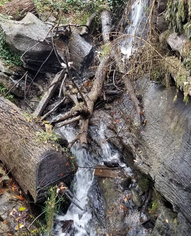 Blowing Cave Mill-塞维尔维尔必去景点