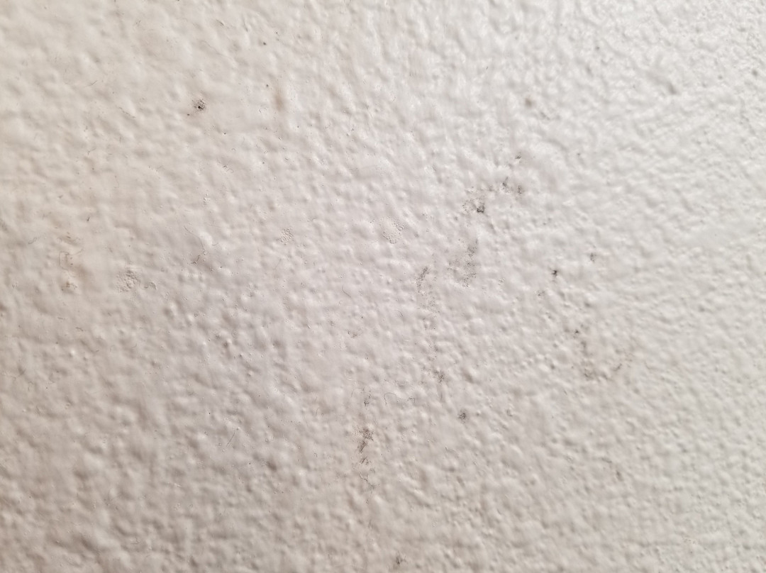 圣马特奥SFO机场酒店主图