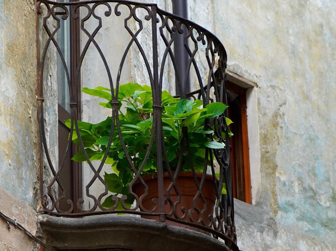Palazzo del Comune景点图片