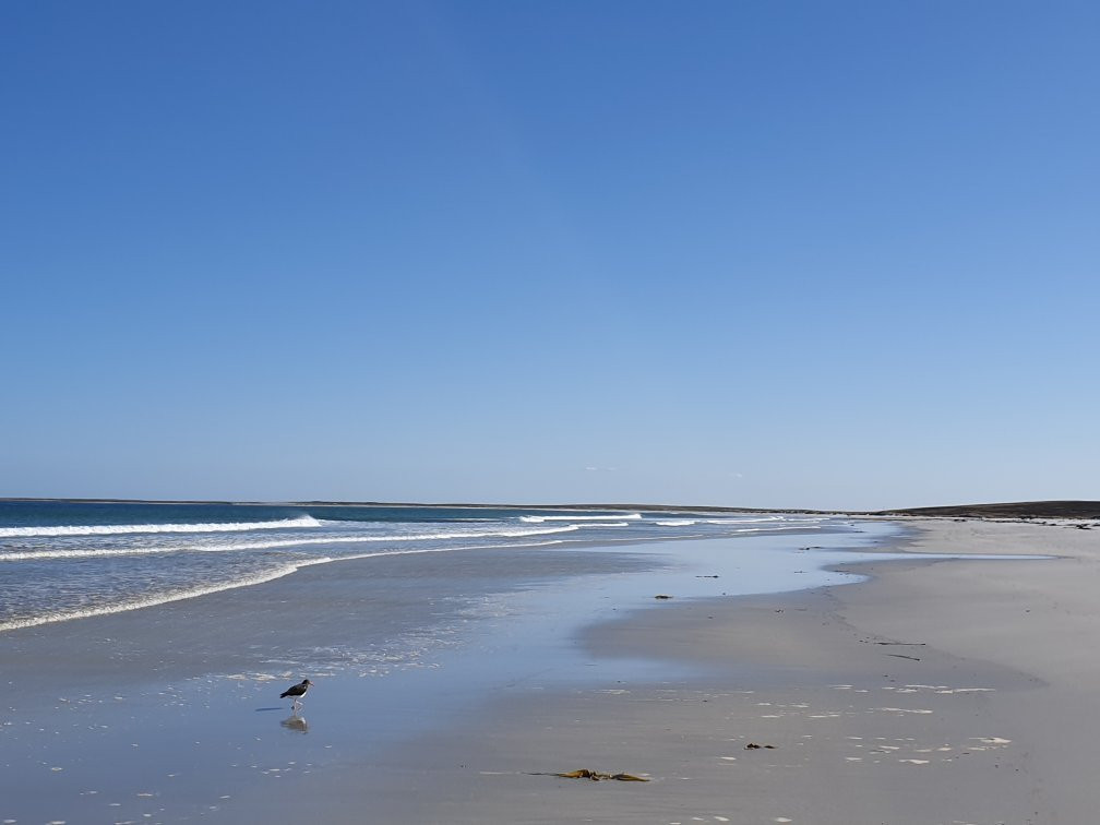 Bertha's Beach景点图片