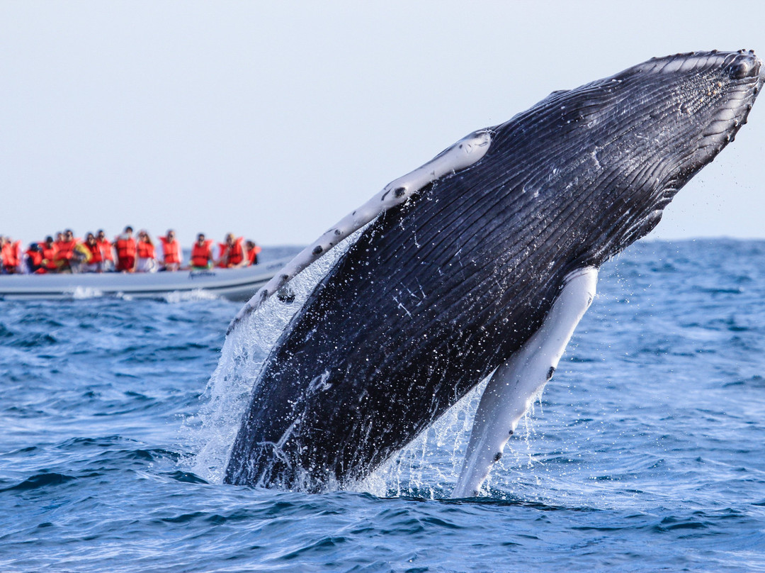 Punta Mita Adventures-蓬塔米塔必去景点