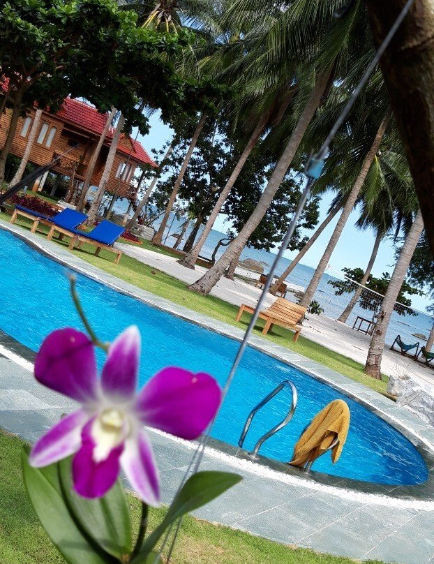 Cay Sao Phu Quoc主图