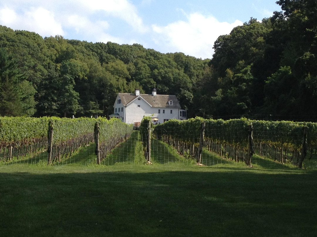 Smithtown旅游景点-Harmony Vineyards
