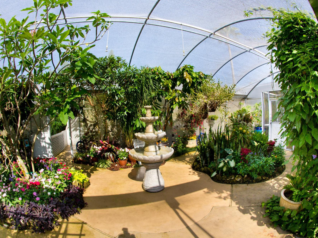 Oviedo旅游景点-Lukas Nursery & Butterfly Encounter