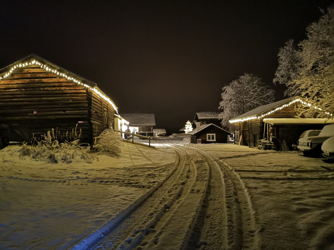 Bjørnerud Fjellgard景点图片