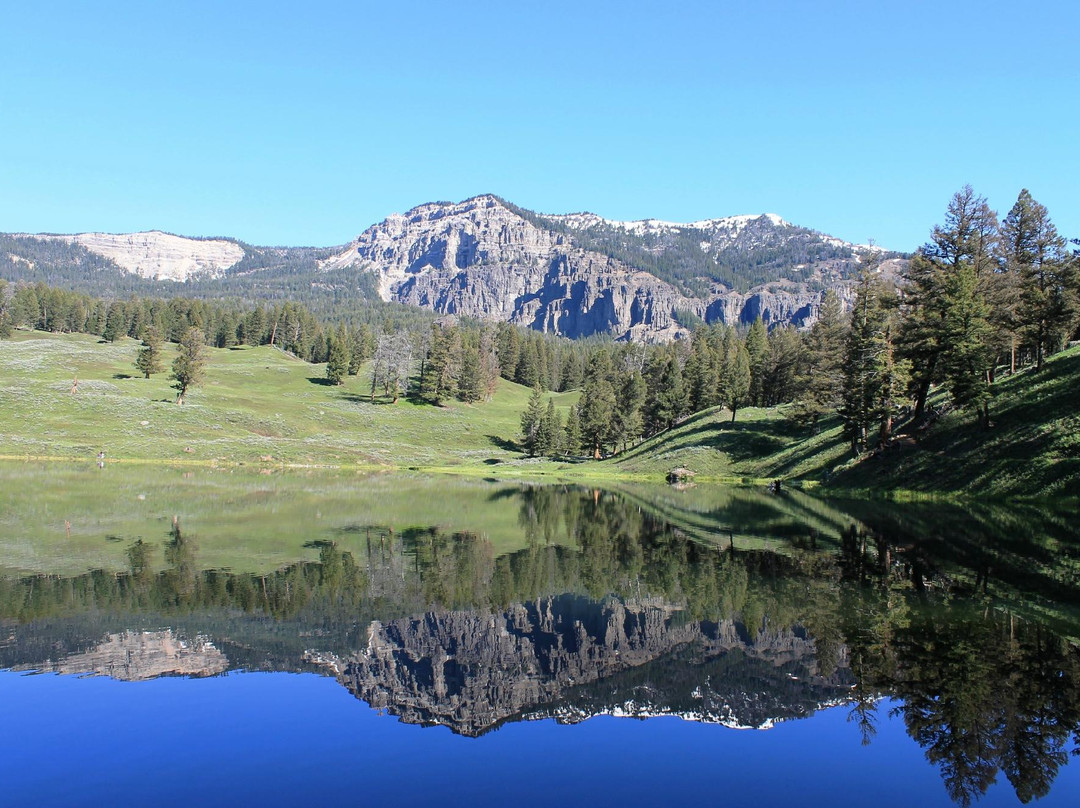 Trout Lake Trail景点图片