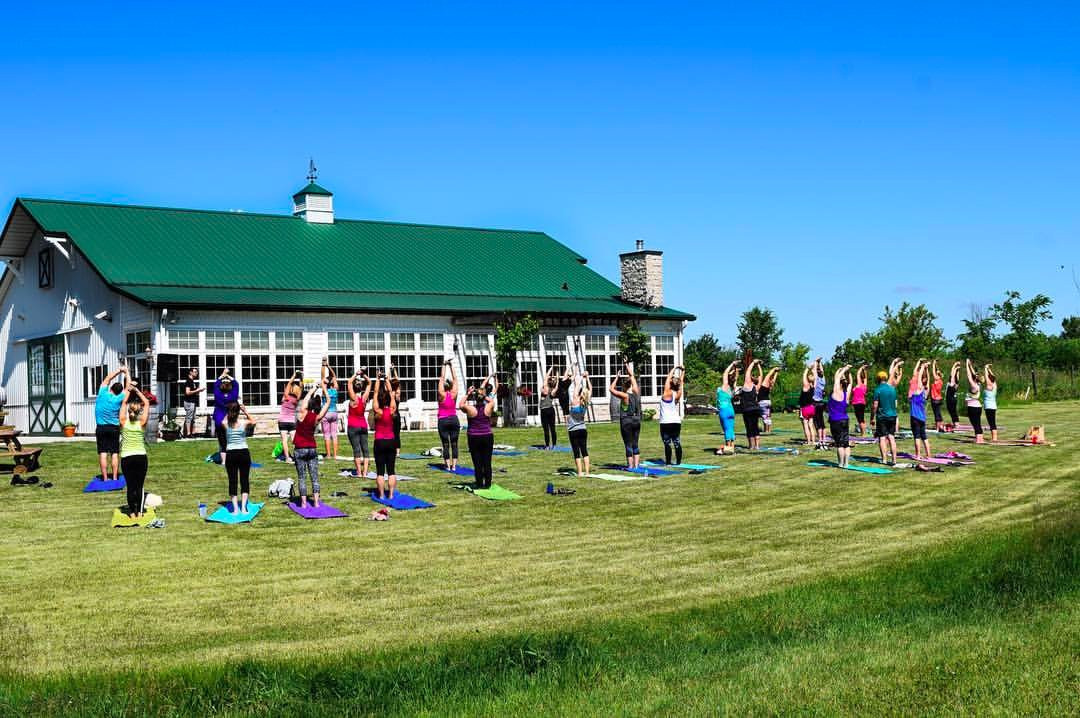 Morrison旅游景点-LedgeStone Vineyards