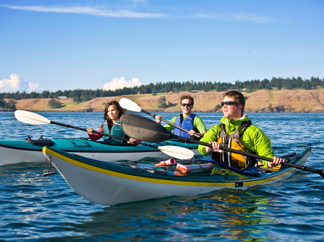 San Juan Outfitters-星期五港湾必去景点