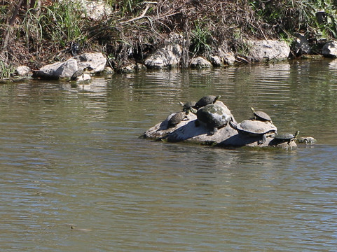 Espada Park-圣安东尼奥市必去景点