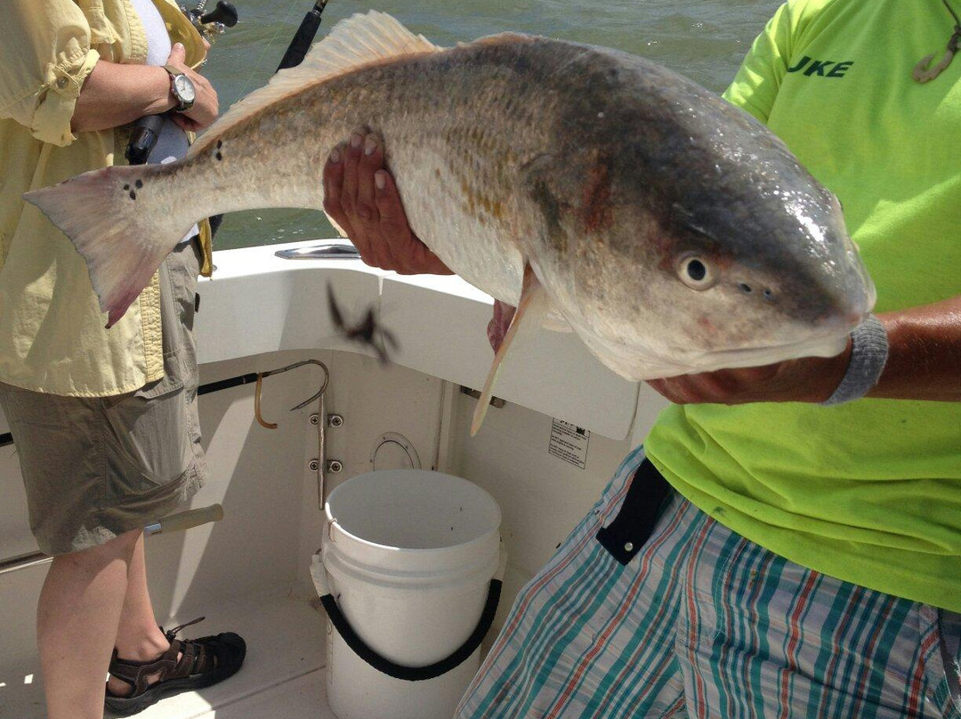 Sea Wolf Charters-Port Royal必去景点
