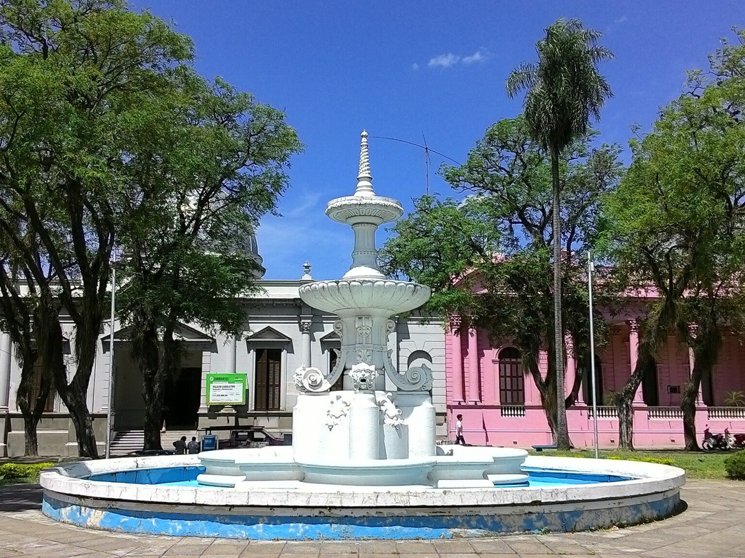 Plaza 25 De Mayo景点图片