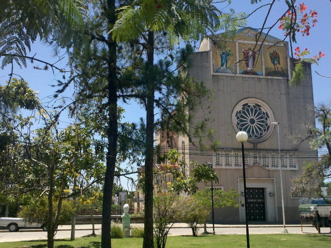 Catedral San Roque景点图片