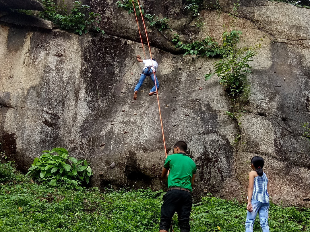 Brahmaputra Jungle Resort主图
