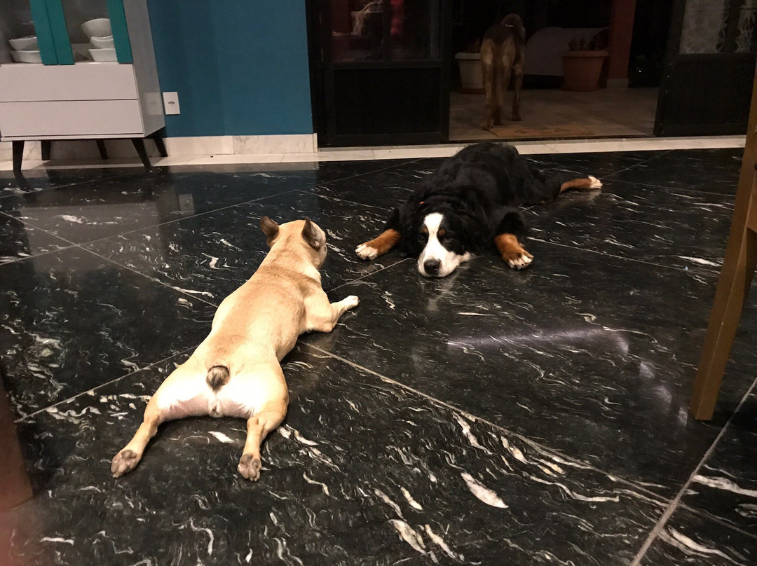 Araras酒店住宿-Pousada Le Ange