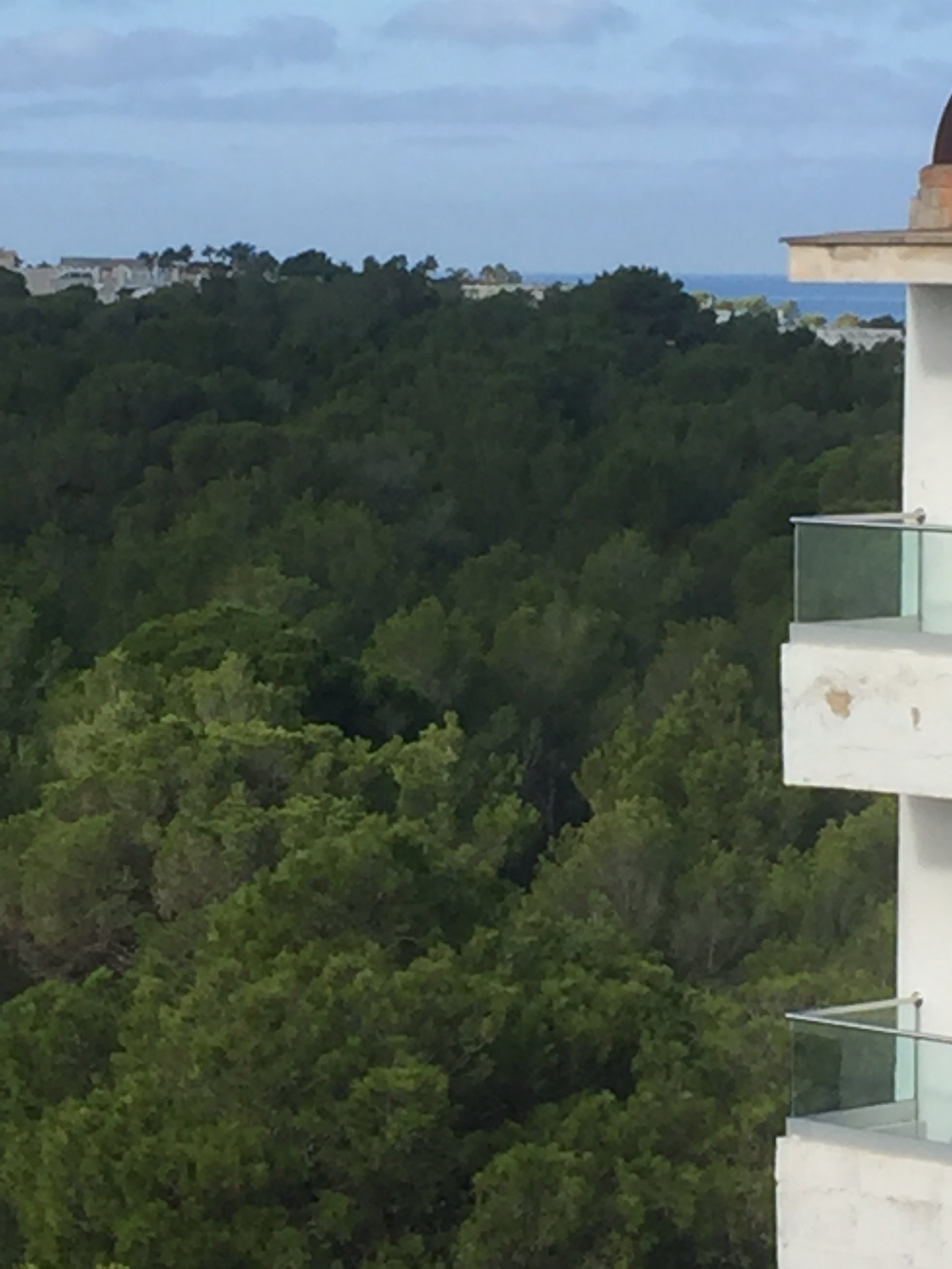 O7 Alea-酒店景观