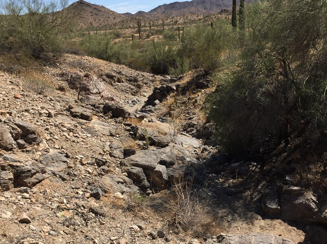 Estrella Mountain Regional Park-嘉年必去景点