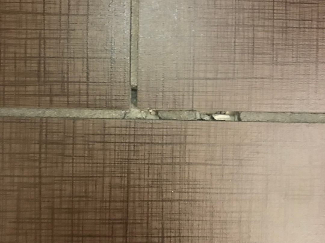 Staybridge Suites West Des Moines By IHG主图