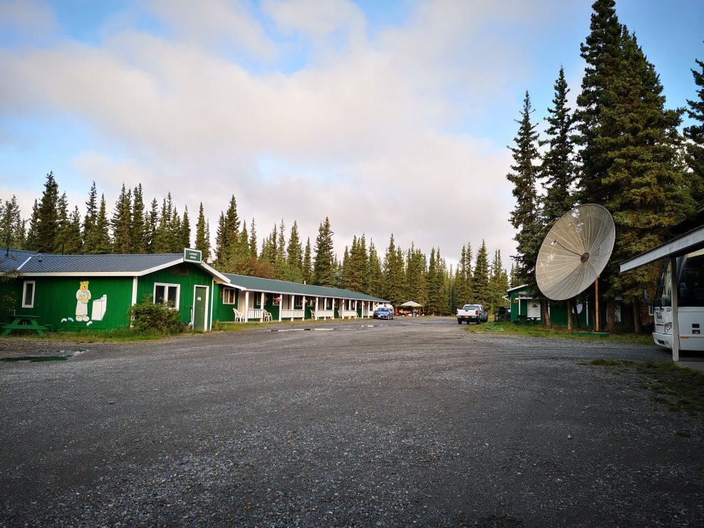 The Golden Bear主图