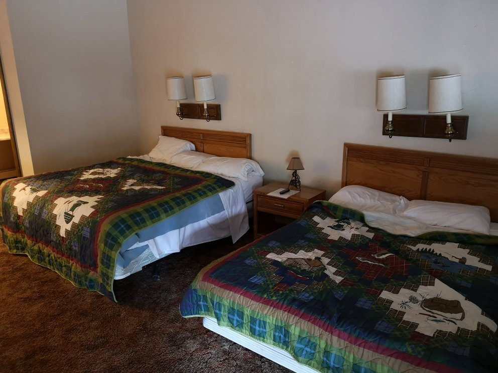 The Golden Bear主图