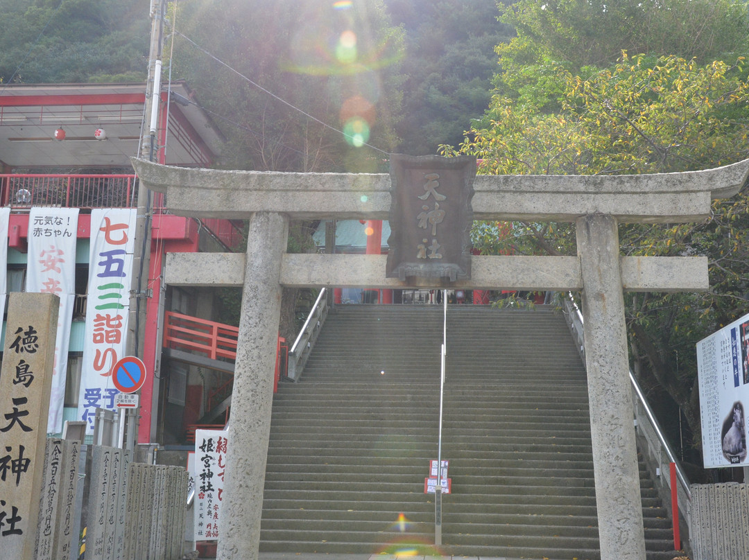Tokushima Bizanten Shrine-德岛市必去景点