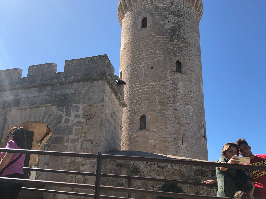 GreenTours Palma-马洛卡帕尔马必去景点