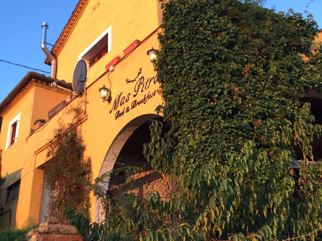 Mas Pitra Bed & Breakfast主图