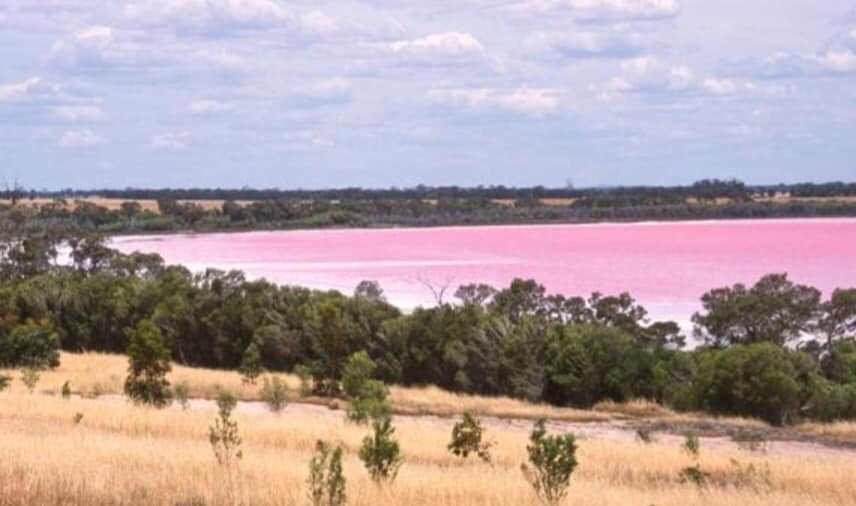Pink Lake景点图片