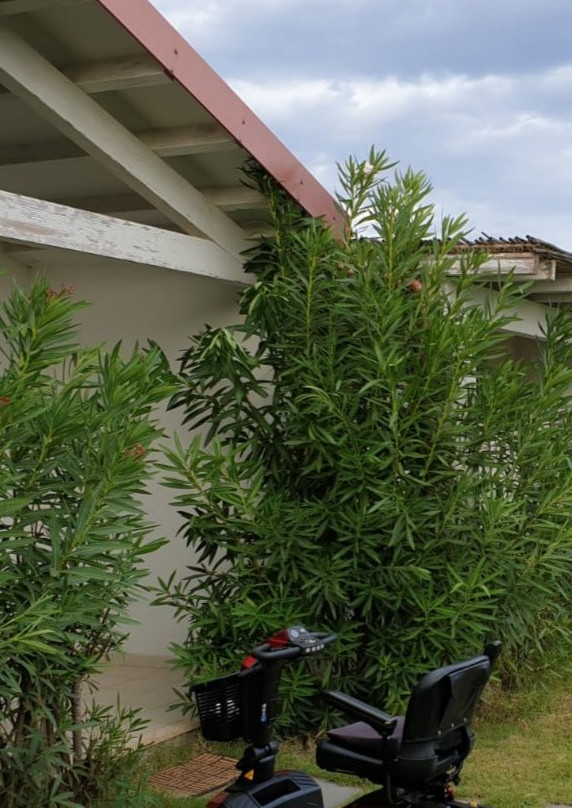 Budoni Beach Hotel主图