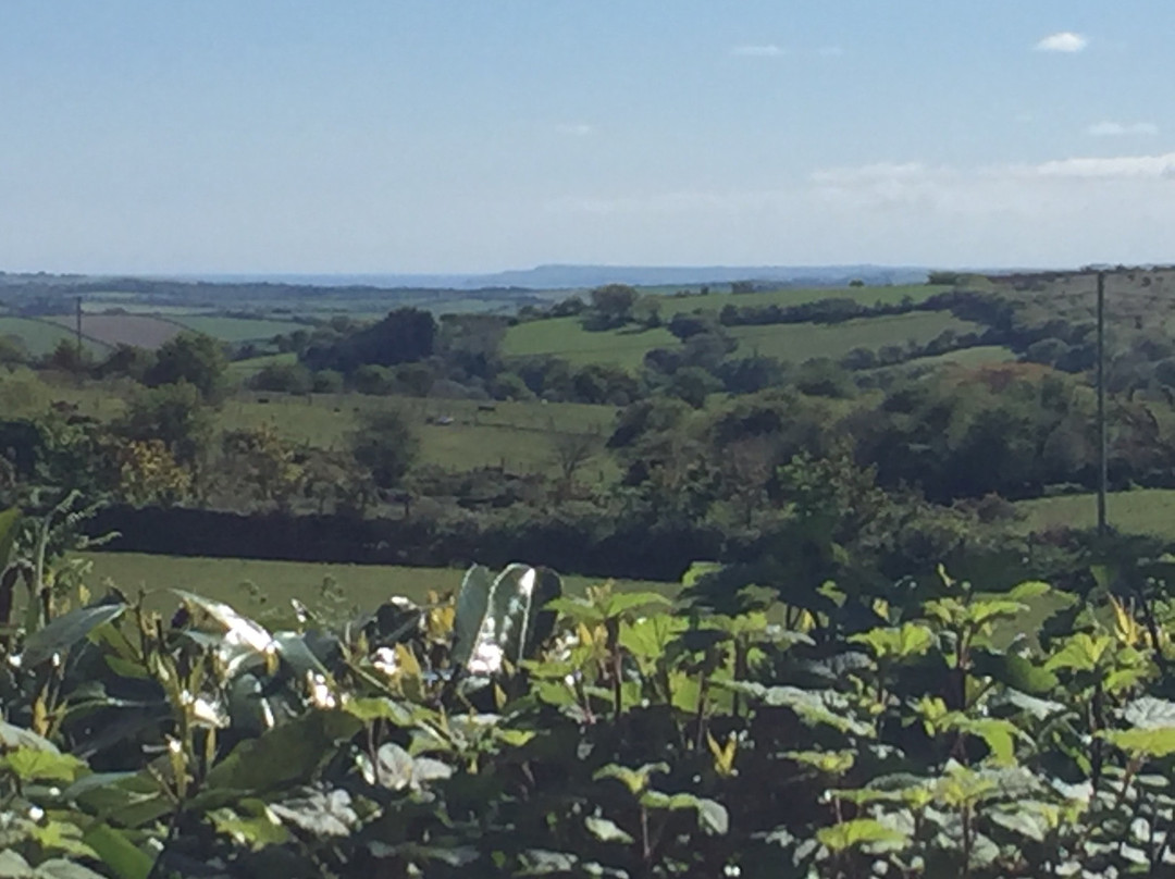 Higher Searles Down主图