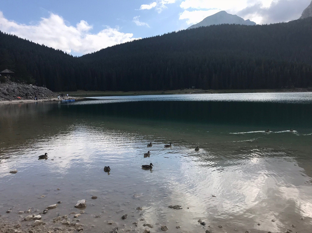MountGo Tours in Montenegro景点图片