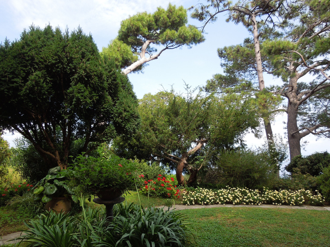 Villa San Michele景点图片