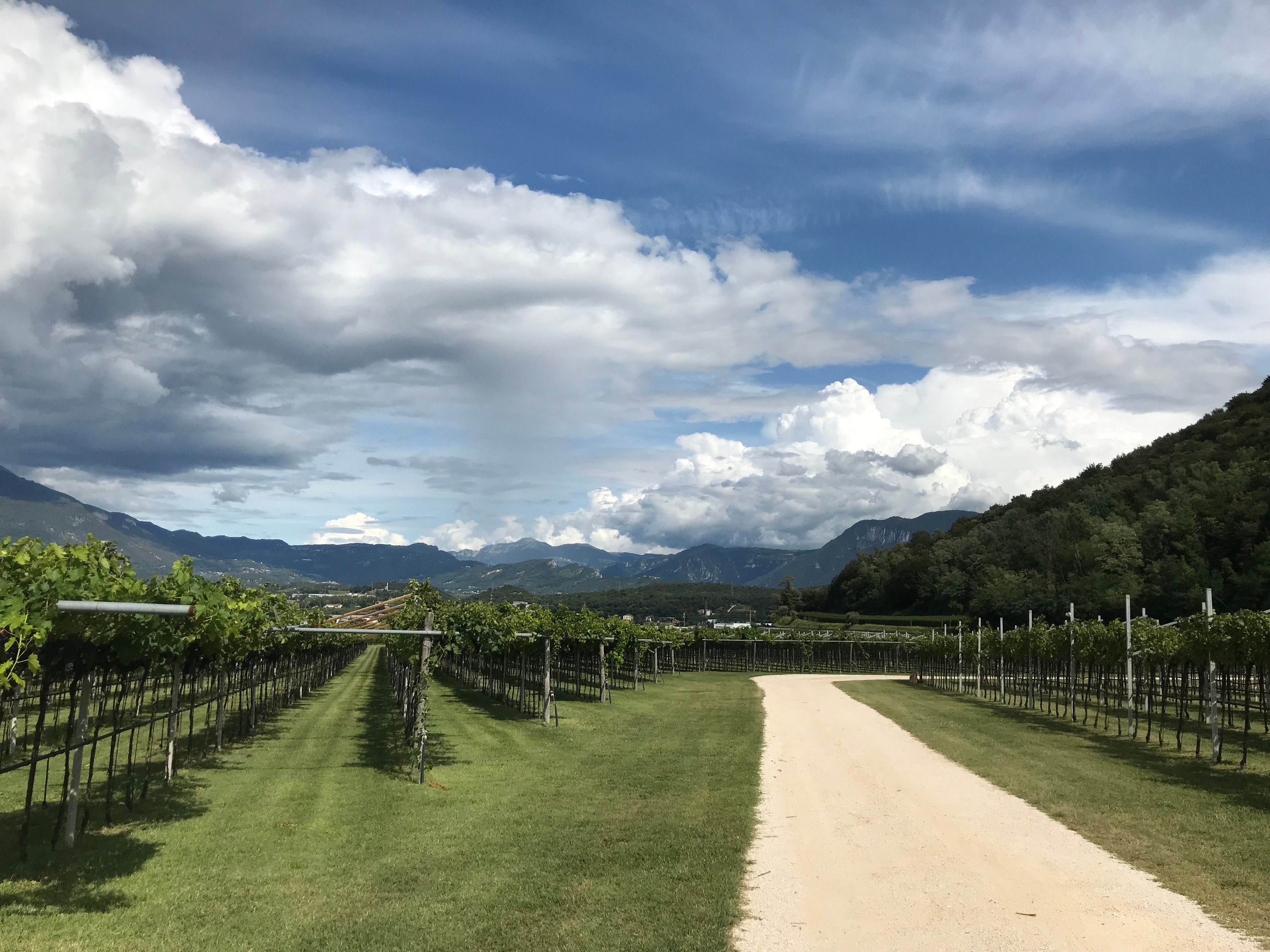 Agriturismo La Pertica-浴室