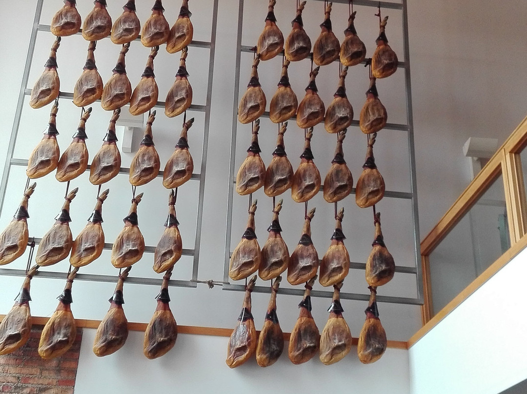 Museo del Jamon y la Cultura Popular景点图片
