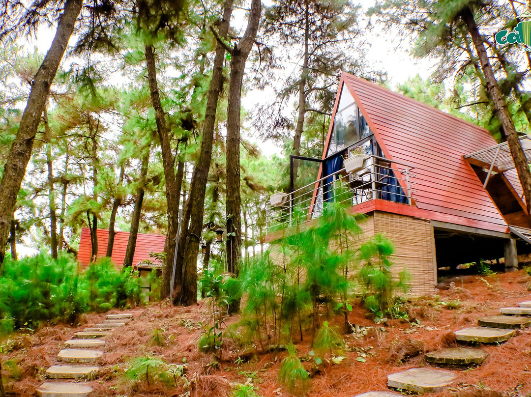 Cat Ba Eco Lodge主图