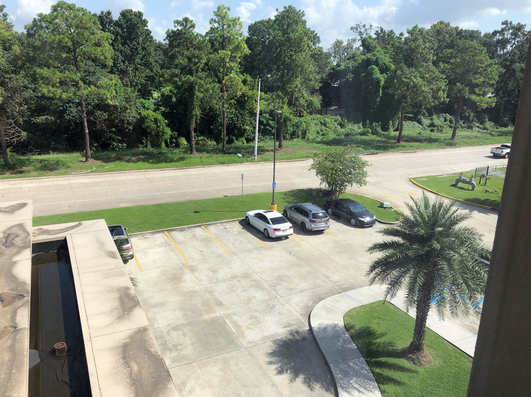 Hampton Inn & Suites Baton Rouge/Port Allen主图