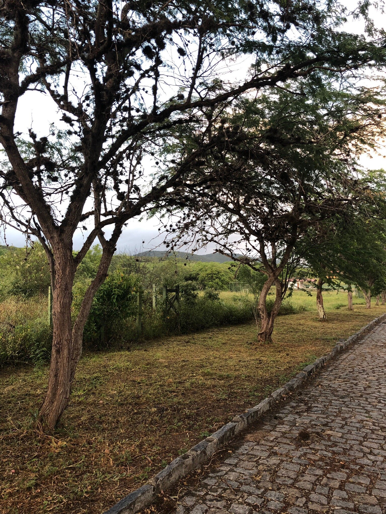 Pousada Fazenda Santa Fe-官方
